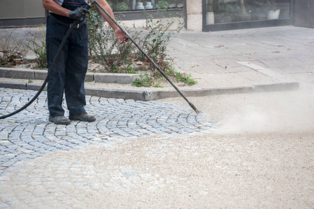Best Dumpster Area Cleaning  in Lockport, IL