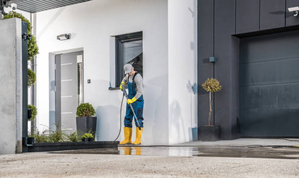 Best Gutter Cleaning  in Lockport, IL